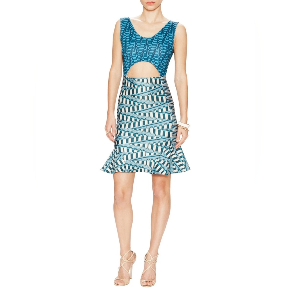 Ronny Kobo | Basketweave Print Mini Dress